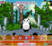 Hra Panda Tropical Dancing 2